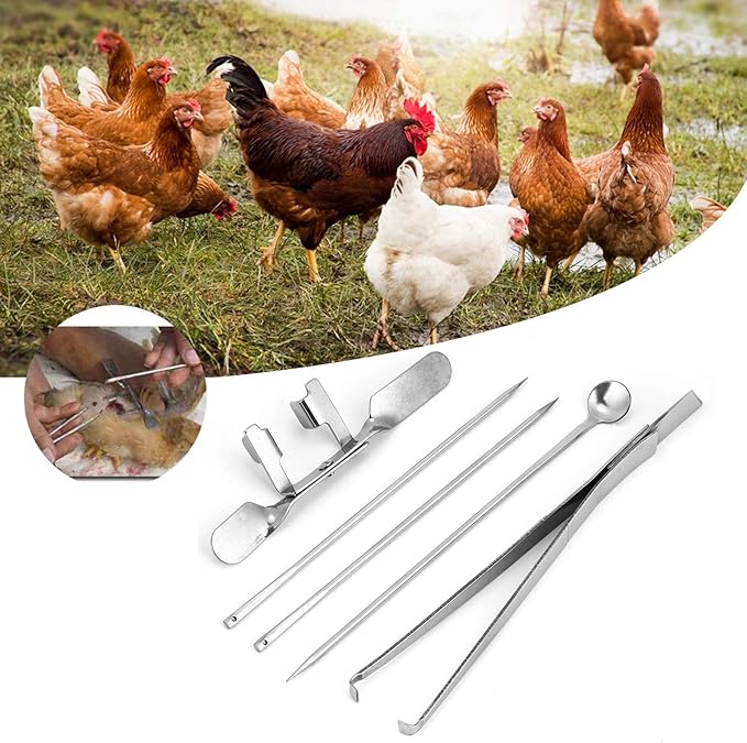 5Pcs Capon Knife, Tool Stainless Steel Kit Poultry Ca Ion Chicken Farms Veterinary Instrument for