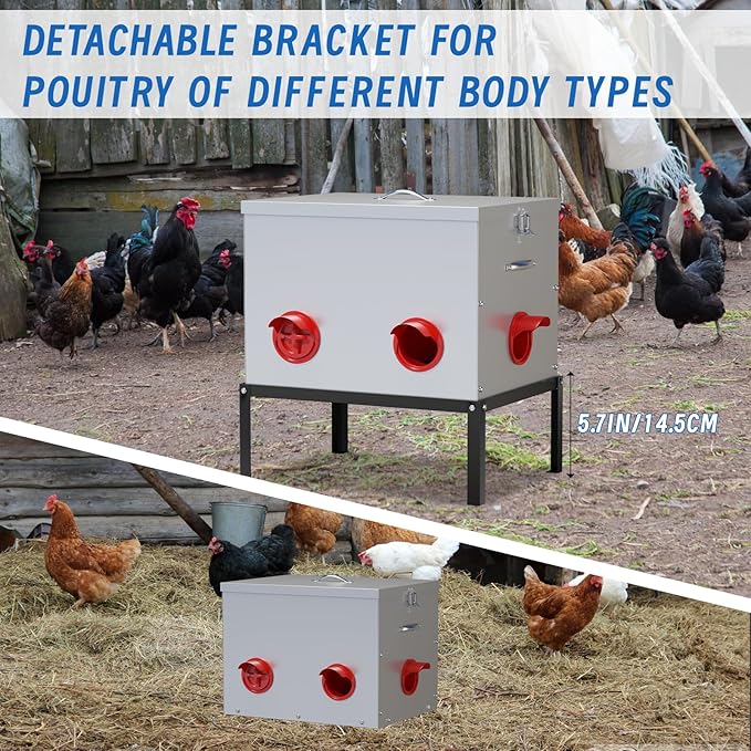 50LB Large Automatic Chicken Feeder,6 Port Large Metal Chicken Feeders,with Raise The Base Frame,Waterproof Galvanized Steel Poultry Feeder with Locking Lid for Chicken Coop
