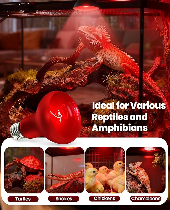KINDEEP Infrared Heat Lamp Bulbs: 100W Reptile Heat Light 2 Pack - Red Basking Spot Light Bulbs Reptile Heating lamp for Lizard Bearded Dragon Turtle Snake Leopard Gecko Tortoise Chickens