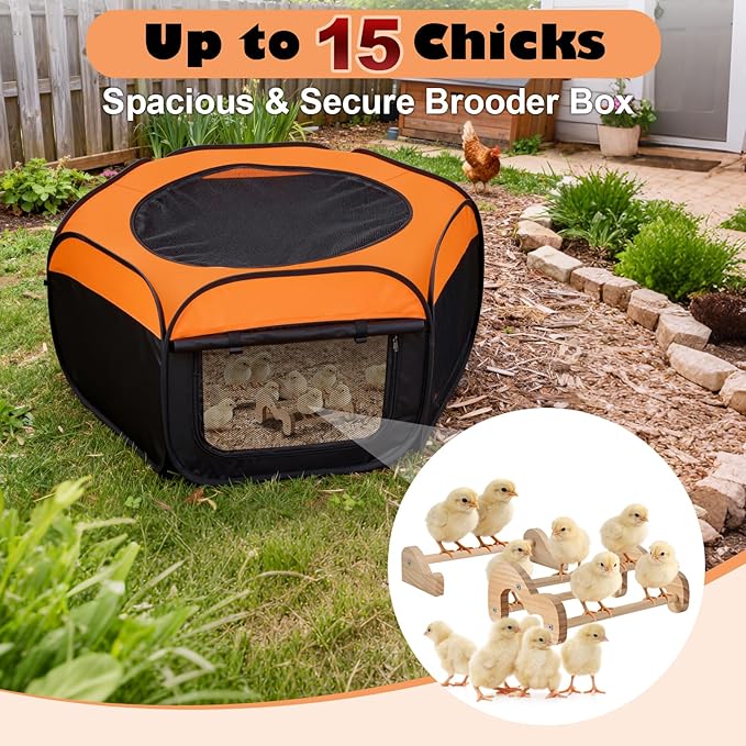 Brooder Box for Chicks, Pop-Up Chicken Brooder Playpen with Dual Doors, Mesh Top Cover & Waterproof Mat, Portable Chick Enclosure for Baby Chicks, Ducks & Quail, Holds Up to 20 Chicks