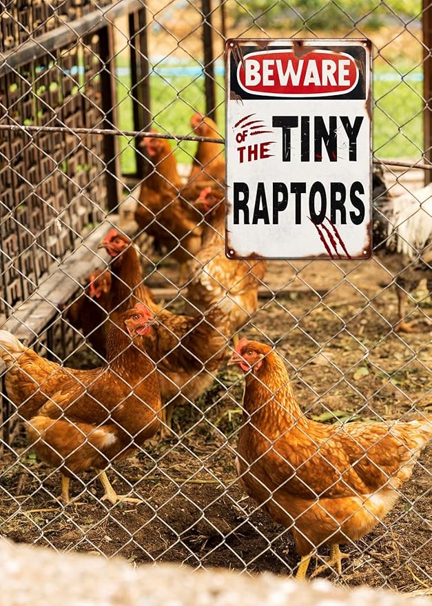 Beware of the Tiny Raptors Metal Tin Sign Funny Chicken Coop Sign Chicken Coop Accessories Outdoor Chicken Farmhouse Farm Sign Yard Decor Gifts 8x12 Inch
