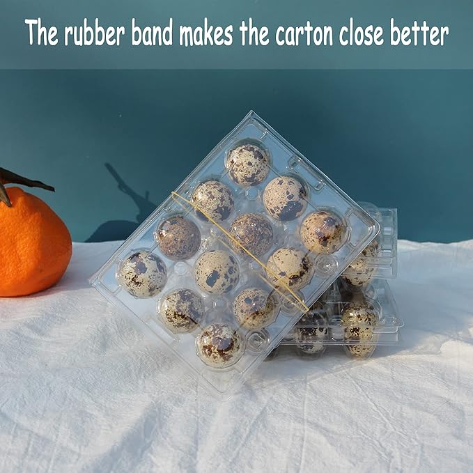 Quail Egg Cartons,Quail Egg Cartons Cheap Bulk 50 Pack of 12 Small Tray,Reusable Plastic Quail Egg Container For Refrigerator Market Farmers Display for Small Eggs,Clear Plastic Egg Carton Holder