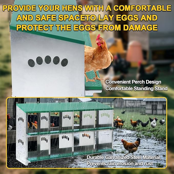 Chicken Nesting Box, 8 Compartment Metal Nesting Box, 8 Room Wall Mountable Nesting Boxes for Chicken with Swing Perch and Rollout Egg Collection