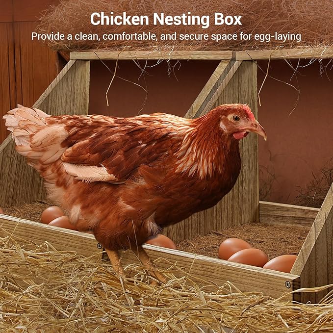 3 Pack Chicken Coop Nesting Boxes for Laying Eggs - Wooden, Duck & Chicken Nesting Box Accessories