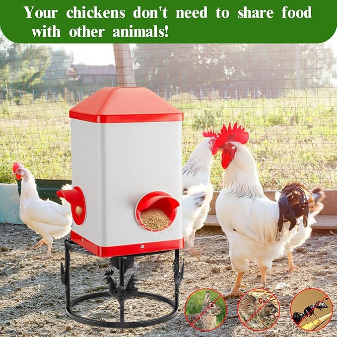 Metal Stand for Chicken Feeder Waterer, Heavy Duty Chicken Water Stand Holder, Iron Chicken Feeder Buckets Barrels Support Rack for Coop Poultry Indoor Outdoor (Black 1pc)