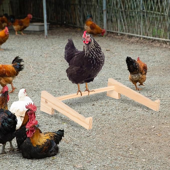 Chicken Roosting Bar, – Wooden Pets Perch Stand, Hen Chicks Birds Parrot, Play Perching Training Support Brooder | Hen Chicks Birds Parrot Play Perching Training Support Brooder Coop