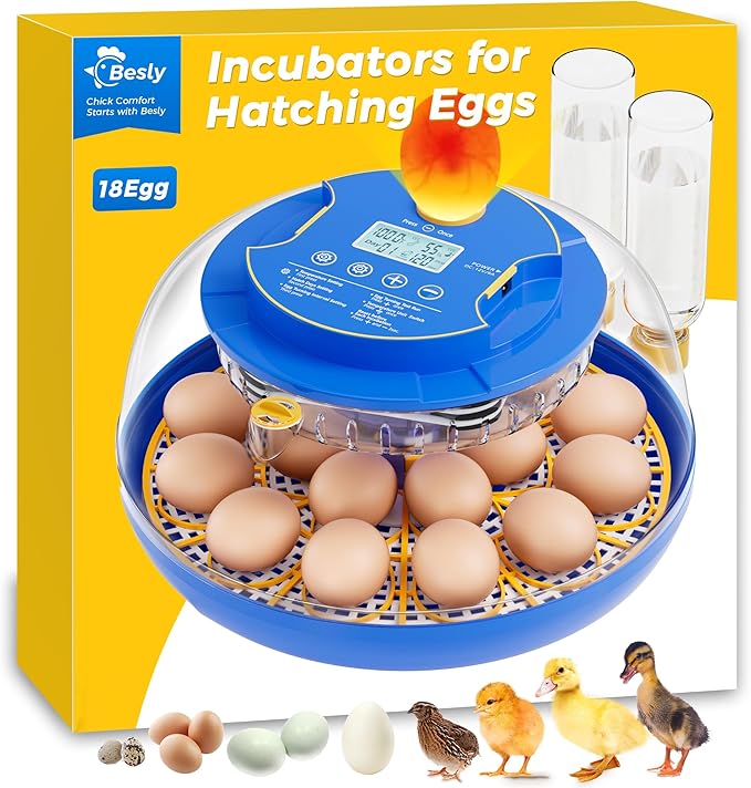 18 Incubators for Hatching Eggs, Automatic Egg Turning and Humidity Control, 360 View, Suitable for Chickens, Ducks, Quails, and Other Birds