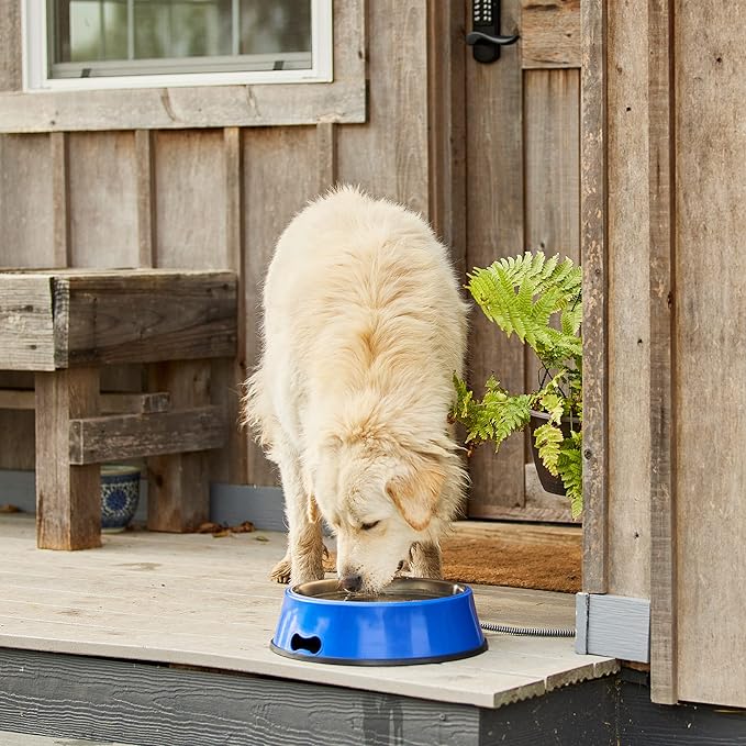 Farm Innovators Heated Pet Water Bowl, 40W Heated Water Dish - 3 Quart Stainless Steel Watering Station with Anti-Chew Cord Protector for Dogs & Cats