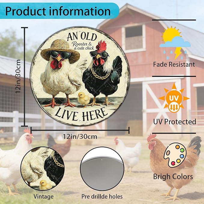 Rooster Wall Decor Round Chicken Signs Chicken Coop Accessories Metal Tin Sign Vintage Style An Old Rooster And A Cute Chick Live Here Iron Poster 12 Inch