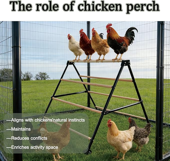 XCL Chicken Roosting Bars, Large Chicken Perch for Coop, Suitable for Backyard Poultry, Chicken Coop Accessories Easy to install Farm Chickens Roost Toys, A-shaped Chicken Perch for Adult Chickens (L)