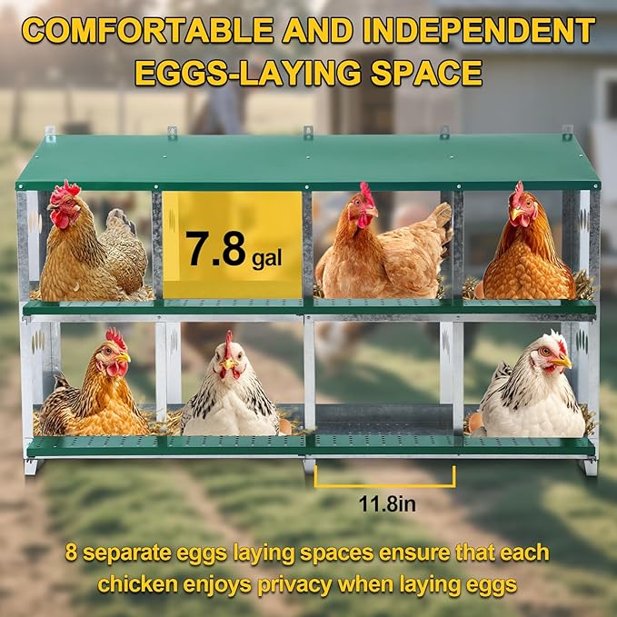 Chicken Nesting Box, 8 Compartment Metal Nesting Box, 8 Room Wall Mountable Nesting Boxes for Chicken with Swing Perch and Rollout Egg Collection