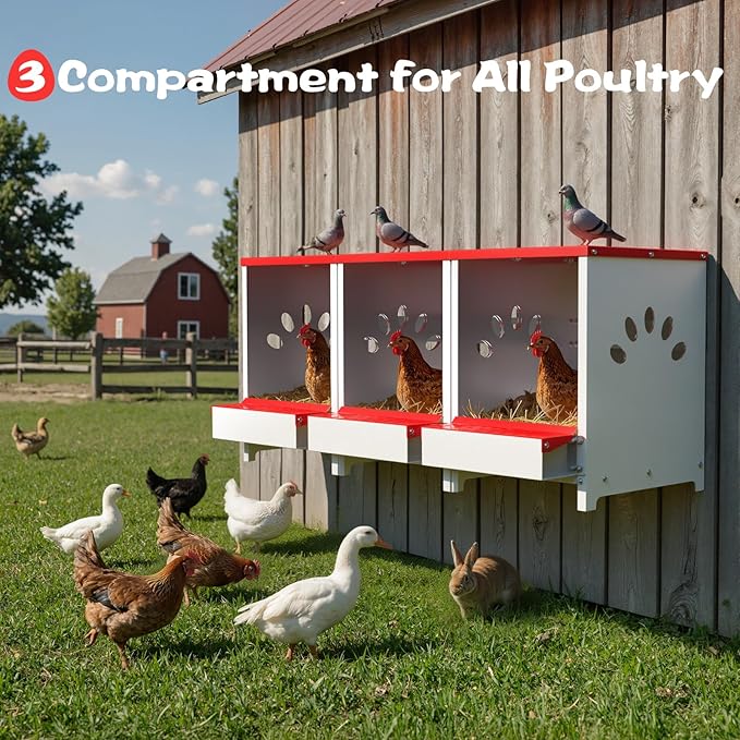 Chicken Nesting Boxes, One Hole Large Metal Hen Laying Box with Swing Perch and Roll Away Egg Collection, Wall Mountable with Vented Holes for Chickens Ducks Birds