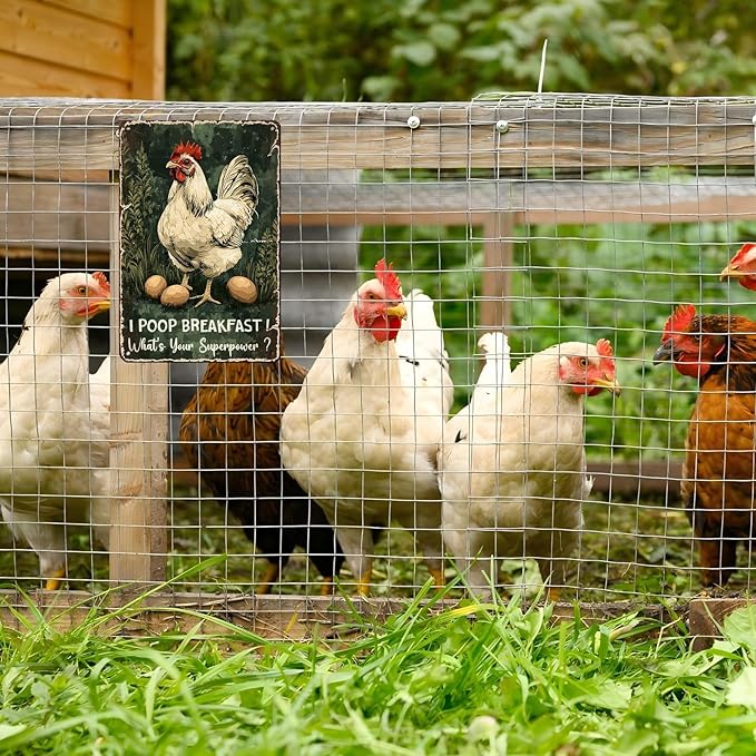 Vintage Chicken Tin Sign I Poop Breakfast Whats Your Superpower Retro Coop Wall Decor Nostalgic Art Funny Rustic Metal Poster Outdoor Store Cafe Poultry House Pubs Farm Farmhouse 12 * 8inch