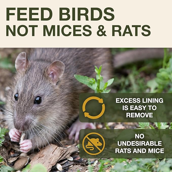 SWISSINNO Bird Feeders - No Mess Fat Ball/Suet Feeder for Outdoors Hanging - Smart Birds Lucerne Spill Proof Wild Cardinal Bird Feeder with Integrated Seed Catcher Tray - Light Grey