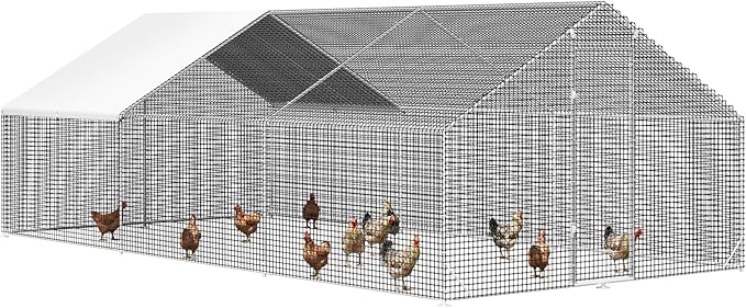 LEVELEVE Large Walk-in Chicken Coop with Chicken Run, Galvanized Poultry Enclosure with Waterproof Anti-UV Cover and Security Lock, Ideal for Rabbit, Duck, Backyard and Farm Yard, 19.7'x 9.8'x 6.6'