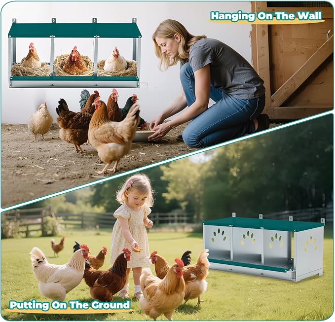 Chicken Nesting Box for Laying Eggs, Metal Chicken Laying Boxes Wall Mountable, Easy Egg Collection Roll Away Nesting Boxes Chicken, Chicken Coop Nesting Boxes for Hens, 3 Compartments