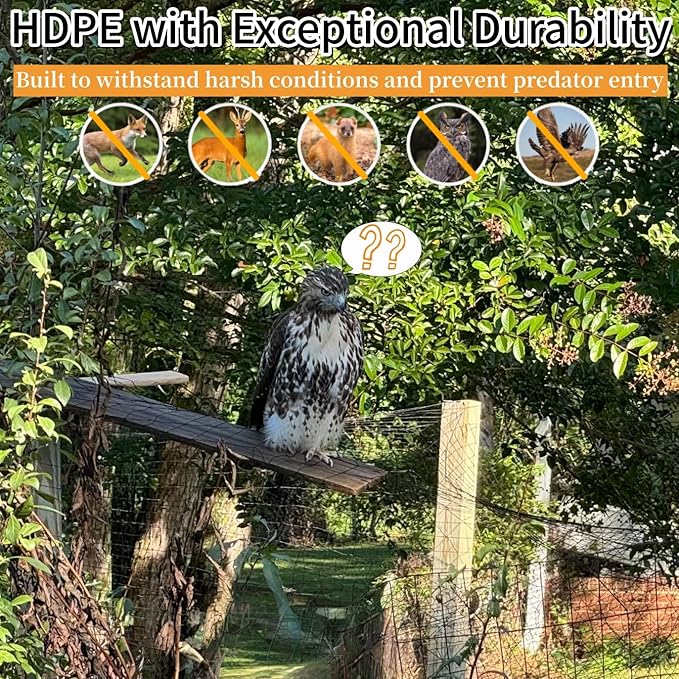50x50ft Heavy Duty HDPE Poultry Netting,2.4" Bird Netting for Chicken Coop Run Chicken Pen,Strong Chicken Run Net Against Hawk & Predator,Tangle-Free UV Resistant (50FT)