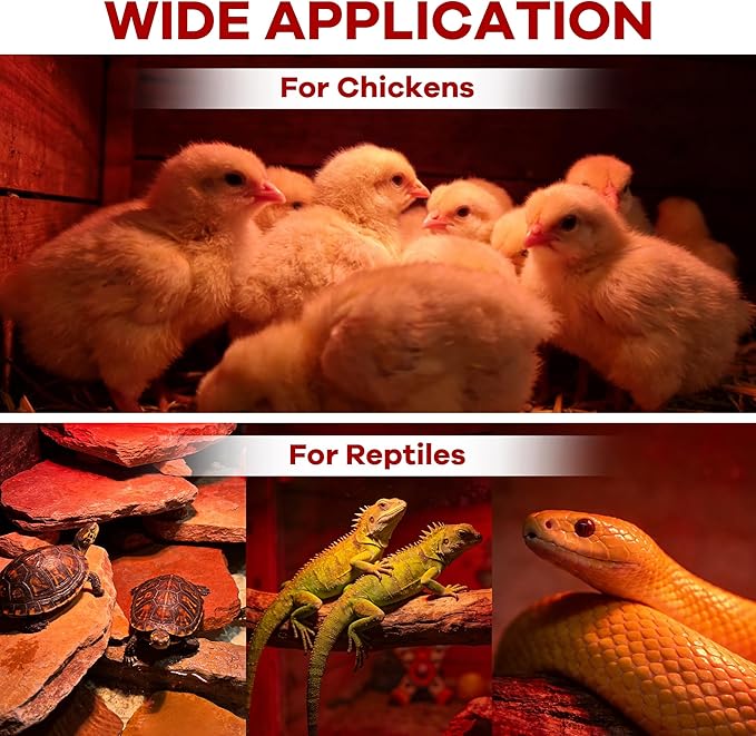 Heat Lamp Bulb for Chickens, Red Heat Lamp Infrared Light Bulb with Power Cord Hanging Chain for Chicks