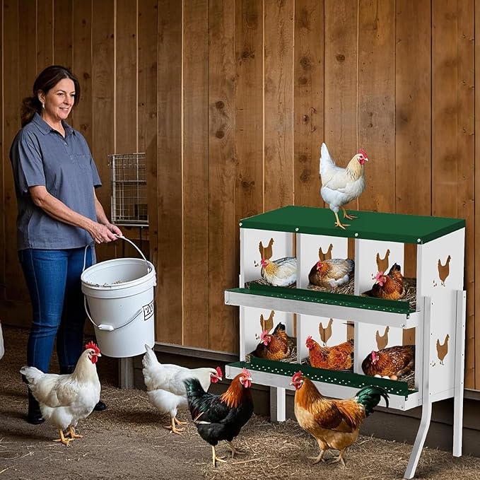 Metal Chicken Nesting Box, 6 Compartments, Rollout Egg Collection, Large Vented Holes, Perch Included, Wall Mount or Free Standing Laying Box for Hens and Chickens - Green with Legs