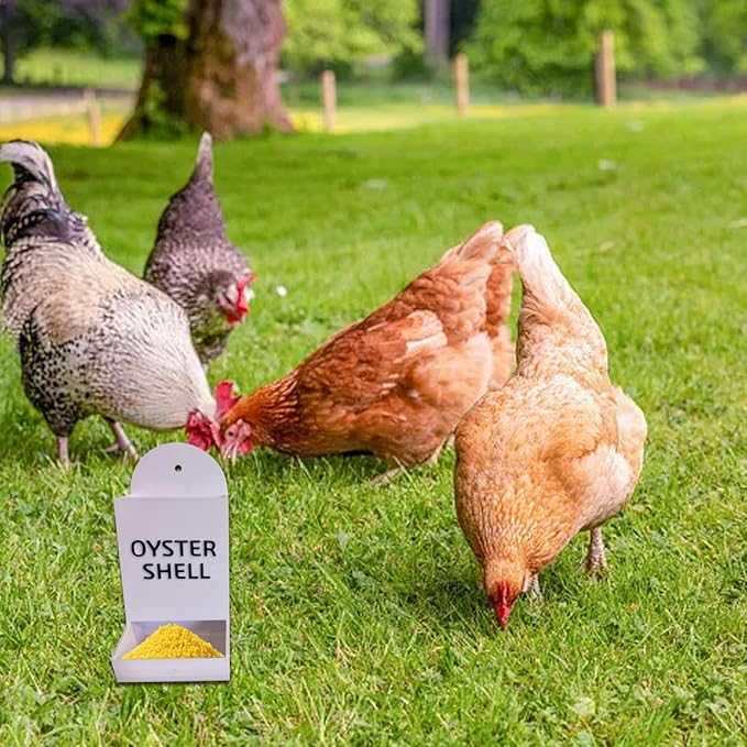 Gravel Feeder - Oyster Shell and Grit Feeder, Versatile Oyster Shell Feeders for Chickens,Hanging Chicken Feeders Trough,Precision Nutrition, Chickens Coop Accessories for Poultry (White)