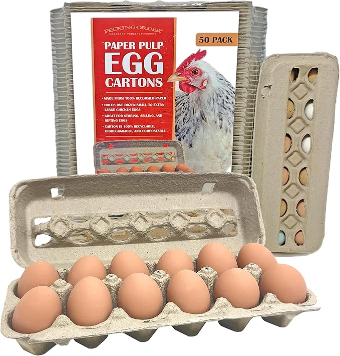 Paper Pulp Egg Cartons - 50 Pack