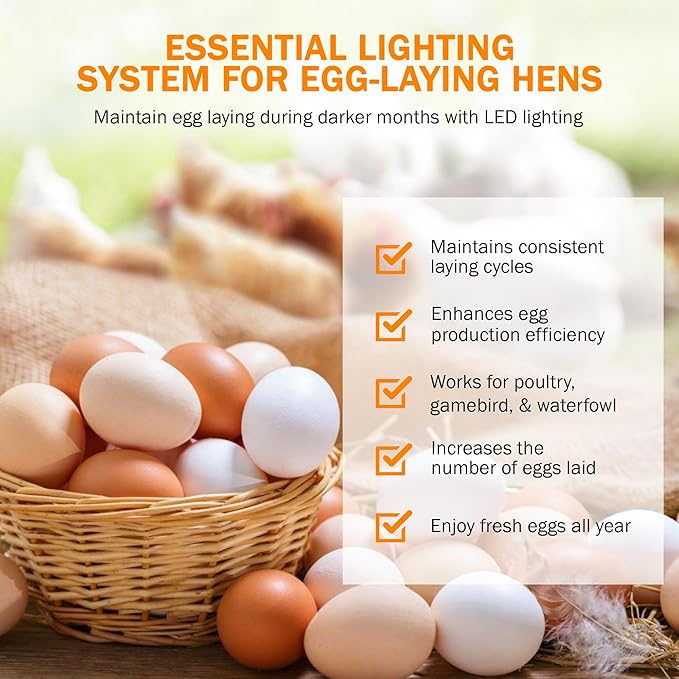 Incubator Warehouse AutoCoop LayLight2 with Smart Timer - Automatic Chicken Coop LED Daylight Extender - Chicken Coop Light with Programmable Settings for Boosting Chicken Egg Production