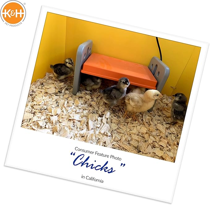 K&H Pet Products Chicken Brooder Heater for Chicks Ducklings, Adjustable Heating Plate for Brooder Boxes, Warms up to 15 Chicks, Chicken Coop Poultry Heating with Safety Light, Small 25 Watts