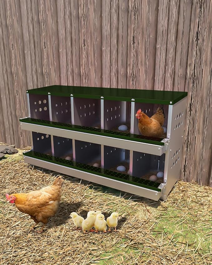 10-Hole Galvanized Metal Chicken Nesting Box with Egg Collection Tray/Fake Training Eggs, Rustproof Poultry Laying Box with Perch Rod,for Chicken Coops and Hens