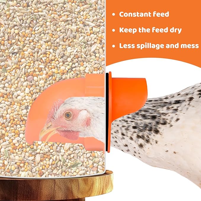 Chicken Feeder No Waste Automatic Poultry Feeder Ports, DIY Chicken Feeder and Waterer Set, 6 Ports and 6 Chicken Water Cups for Buckets, Barrels, Bins, Troughs