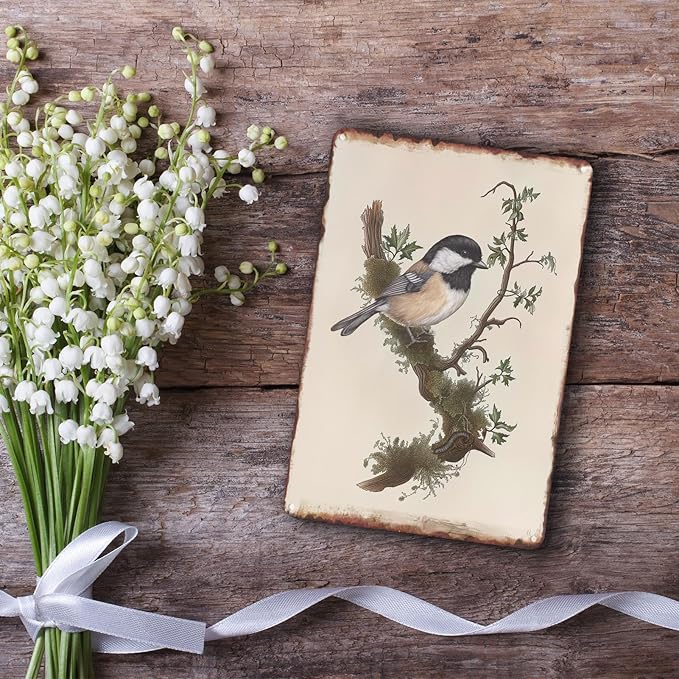 Sanwarm Metal Sign 8X12 Inch, Chickadee Bird Chickadee Retro Wildlife Vintage Tin Sign Wall Art Decor for Home, Living Room, Kitchen, Garden, Bedroom, Office, Hotel, Cafe And Pub Decoration
