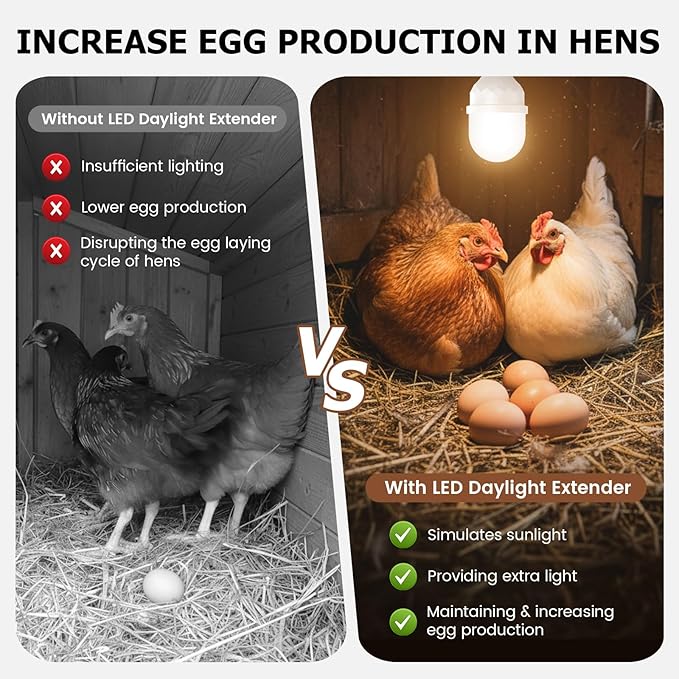 Automatic LED Daylight Extender, Chicken Coop Light with Timer and Easy to Program, Provides Additional Light for Hens and Enhances Egg Production