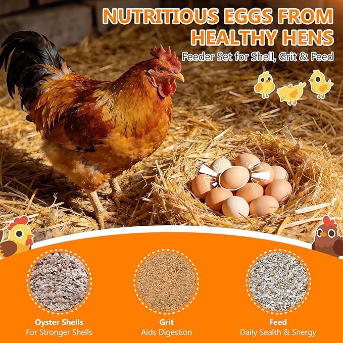 4 Pack Total Chicken Grit and Oyster Shell Feeder Kit, Includes 2 PVC Gravity Grit Feeders with Lid & 2 Hanging Poultry Waterers for Hens, Ideal for 5-6 Chickens, Coop Accessories for Healthier Eggs