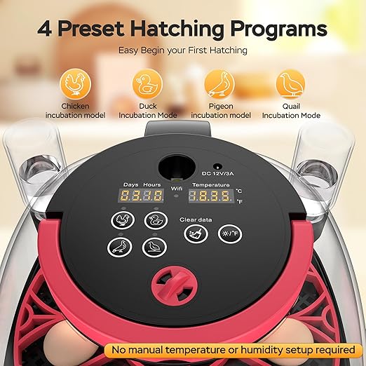 Incubators for Hatching Eggs with Automatic Egg Turning and Humidity Control, with Remote APP Control, 12 Egg Capacity, for Chicken Duck Pigeon Quail
