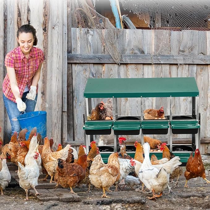 8 - Compartment Roll Away Chicken Nesting Box, Wall - Mount Laying Egg Box with Easy Egg Collection & Cleanable Pull - Out Trays, Hen Roosting Boxes for Efficient Egg Laying（Green）