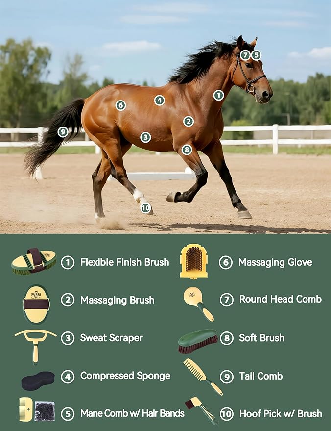 11-Piece Professional Horse Grooming Kit with Waterproof Tote Bag, Non-Slip Silicone Grip Brush Set, Curry Comb, Hoof Pick & Mane Comb Pasture Glow