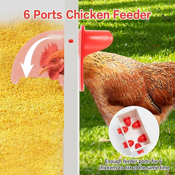 Automatic Metal Chicken Feeder Large Capacity 85 Lbs, No Waste 6-Ports Weather-Resistant & Animal-Proof Gravity Poultry Feeder for Chickens, Geese, Ducks, Turkeys, Quails