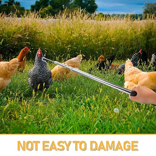 Telescopic Stainless Steel Chicken Grabber Pole for Poultry Catching in Farms, Extendable 72cm–1.45m Chicken Coop Hook Tool for Ducks, Geese, and Small Birds