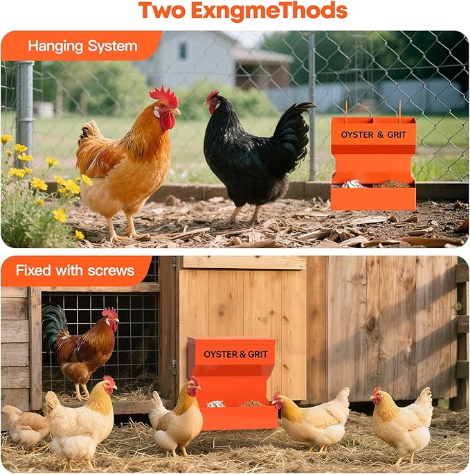 CHUANGFENG Chicken Feeder – Wall Mounted Metal Oyster Shell & Grit Feeder for Chickens, Heavy Duty Coop Feeder with Rust-Resistant Steel, Ideal for Backyard Poultry & Small Farms