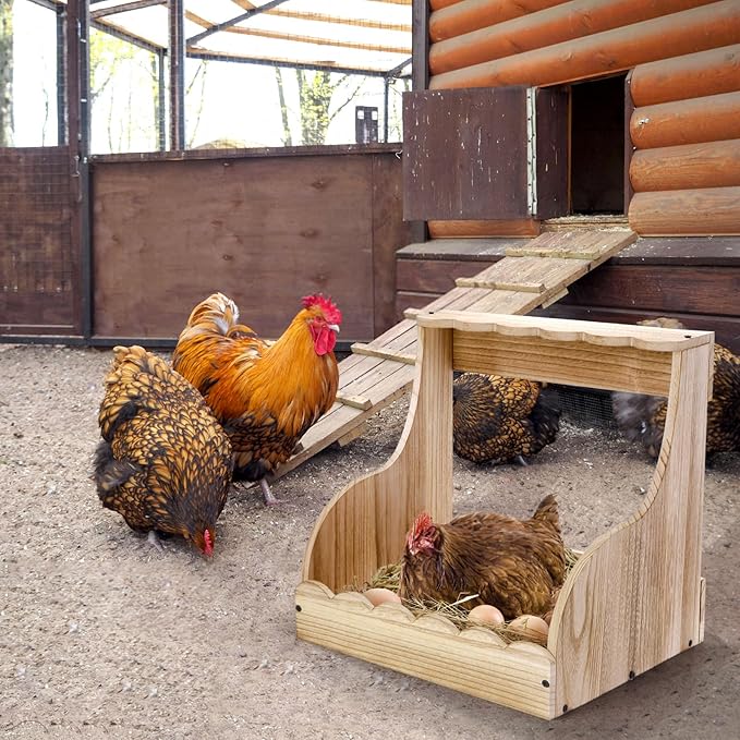 Single Compartment Hens Nesting Box, 14.5 x 13.75 x 13 Inch Wood Chicken Laying Eggs Boxes, Large Heavy Duty Chicken Coop Nest Box Accessories for Duck Birds Poultry, Easy Assembly