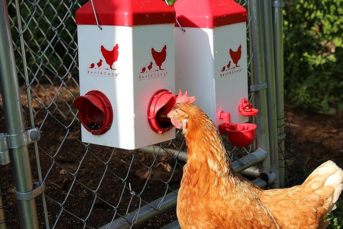 RentACoop Chick2Chicken 5lb 2-Port Feeder and 1-Gal Small Cage Waterer Set - Suitable for Chicks, Chickens, Pigeons, Quail, Game Birds