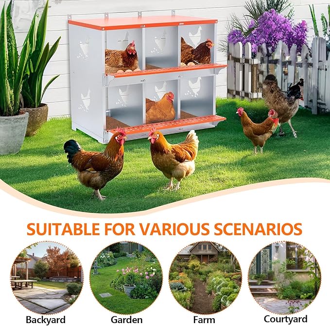 Chicken Nesting Box for Laying Eggs - 6 Room Chicken Laying Boxes, Nesting Boxes for Chickens, Heavy Duty Metal Chicken Coop (31.8" L x 17" W x 25" H)