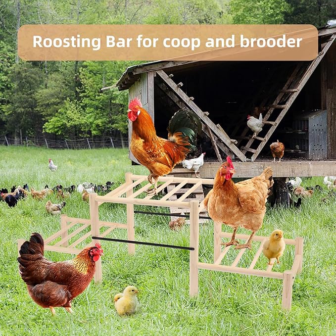 Chicken Perch, Natural Beech Wood Roosting Ladder, Chick Perch for Strong Wooden Roosting Bar for Poultry, Jungle Gym & Toys.