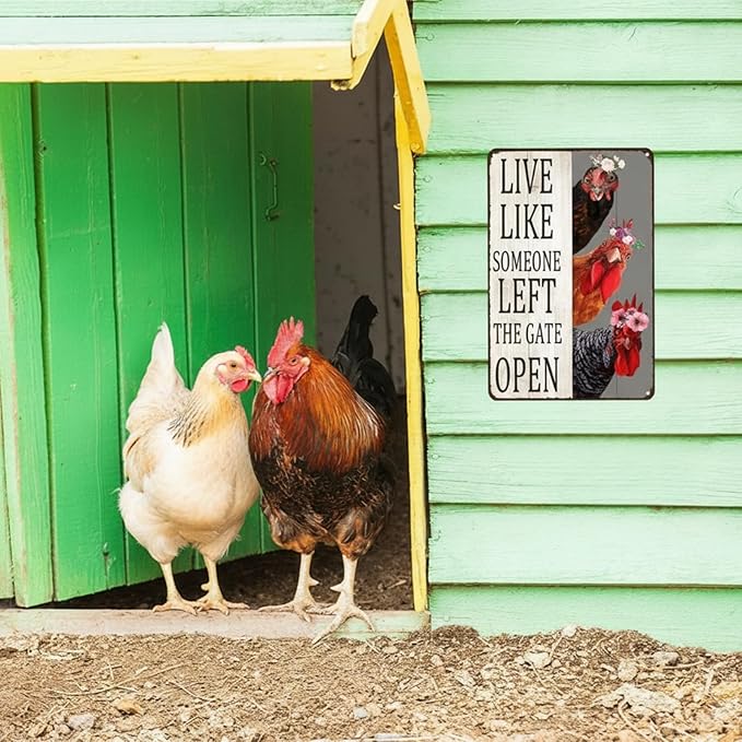 2 Pack Chicken Gifts Vintage Funny Chicken Tin Sign Metal for Home Farm Chicken Coop Outdoor Garden 8 x 12 Inches