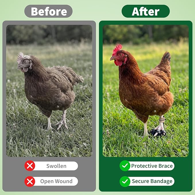 4 Size Chicken Leg Splints with Toe Separator, Durable and Unbreakable PETG Material for Broken Leg Bumblefoot Curled Toes, Reinforced Poultry Leg Brace for Hens Chicks Ducks