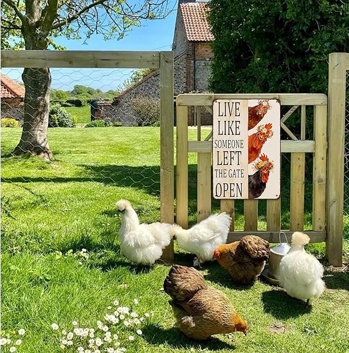 Chicken Coop Sign, Funny Chicken Coop Metal Signs, Outdoor Chicken Decor, Personalized Tin Sign, Chicken Gifts, Chicken House Decor 8 x12 Inches