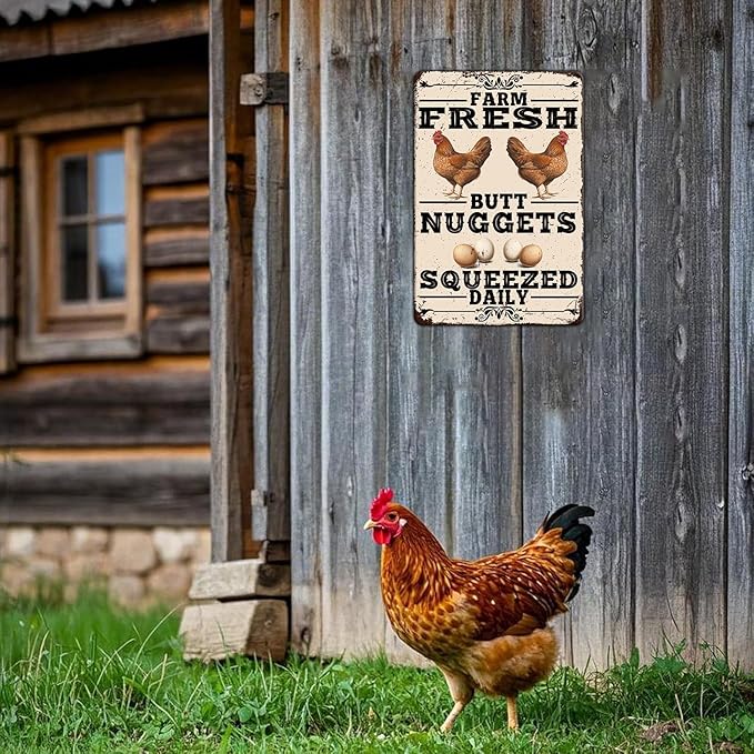 Funny Chicken Coop Tin Sign Vintage Farm Fresh Butt Nuggets Chicken Metal Sign Home Kitchen Outdoor Farmhouse Garden Wall Decor Poster 12x8 Inch