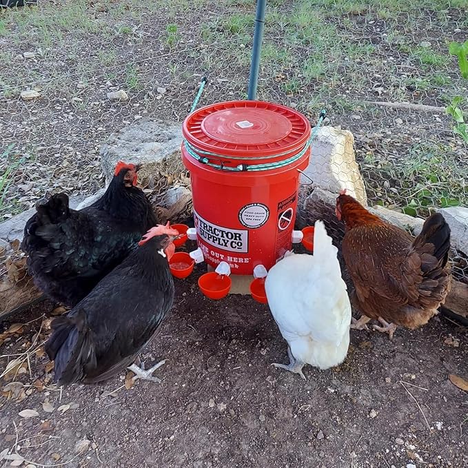Chicken Waterer Cups, 24 Pack Poultry Water Feeder with Drill, Large Poultry Waterer Automatic Waterer for Chicken Coop, Duck, Chicks, Goose, Turkey, Bunny, Bird (Red, 24 Pack)