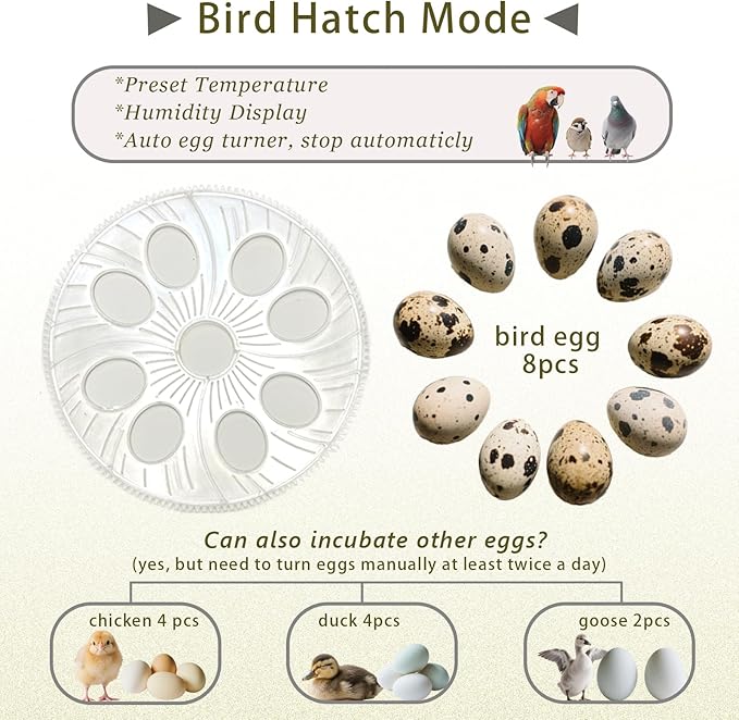 Quail Incubator with Automatic Egg Turning,8 Eggs, Smart Temperature Control, 360°View, Air Vent Circulated, Auto Mini Small Egg Incubator for Hatching Quail Bird Parrot Reptile