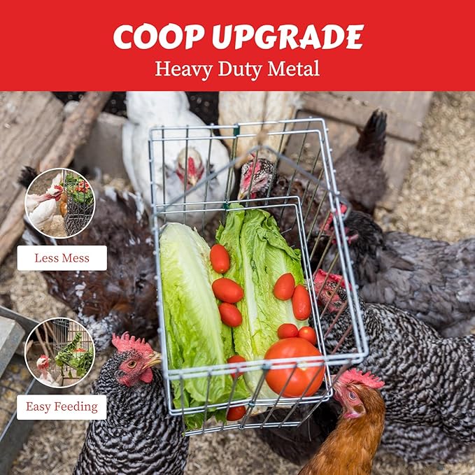 My Favorite Chicken Metal Rack Basket for Chicken Scraps – Hanging or Standing Poultry Feeder for Vegetables, Treats & Hay, Wire Hanging Basket for Chicken Coop, & Small Animals