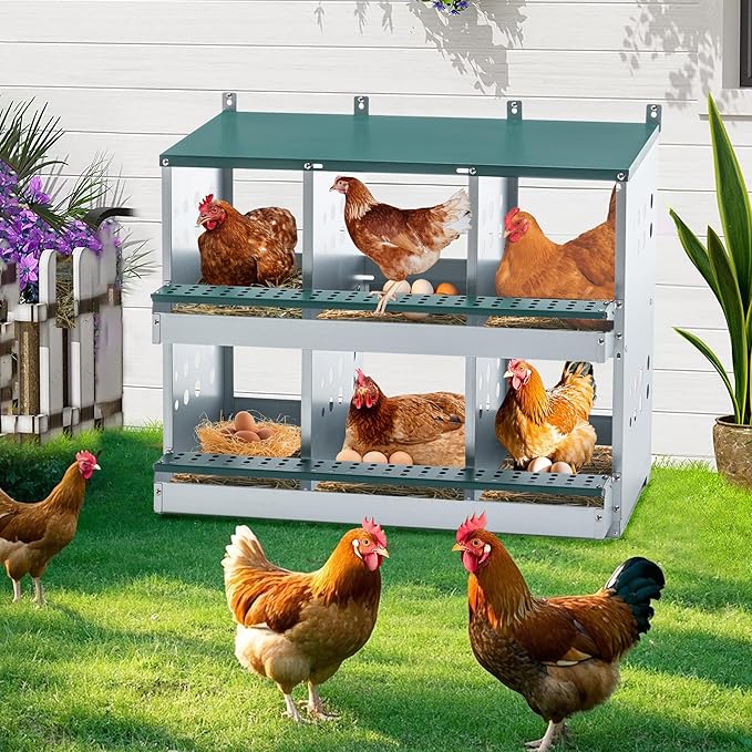 Chicken Nesting Boxes for Hens – Roll-Away Egg Nesting Box with Perch & Ventilation, Roll Out Egg Collection, Galvanized Steel Laying Box for Backyard Coop Poultry Farm (6 Holes-2)